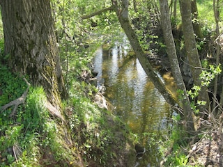 Apartamento Rotthalmünster Entorno 23