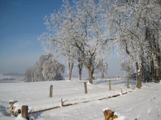 Apartamento Rotthalmünster Entorno 24