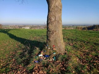 Apartment Rotthalmünster Environment 18