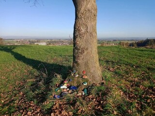 Appartamento Rotthalmünster Ambiente 18