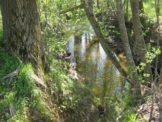 Apartment Rotthalmünster Environment 22