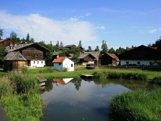 Vakantiehuis Saldenburg Omgeving 21
