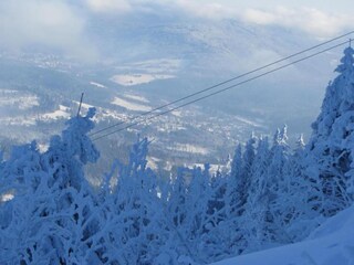 Maison de vacances Saldenburg Environnement 34