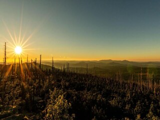 Apartment Sonnen Environment 36