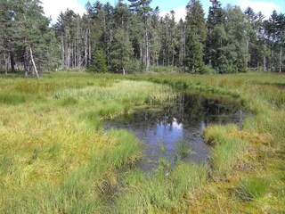 Apartment Sonnen Umgebung 34