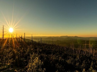 Apartment Sonnen Umgebung 35