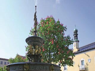 Casa per le vacanze Viechtach Ambiente 20