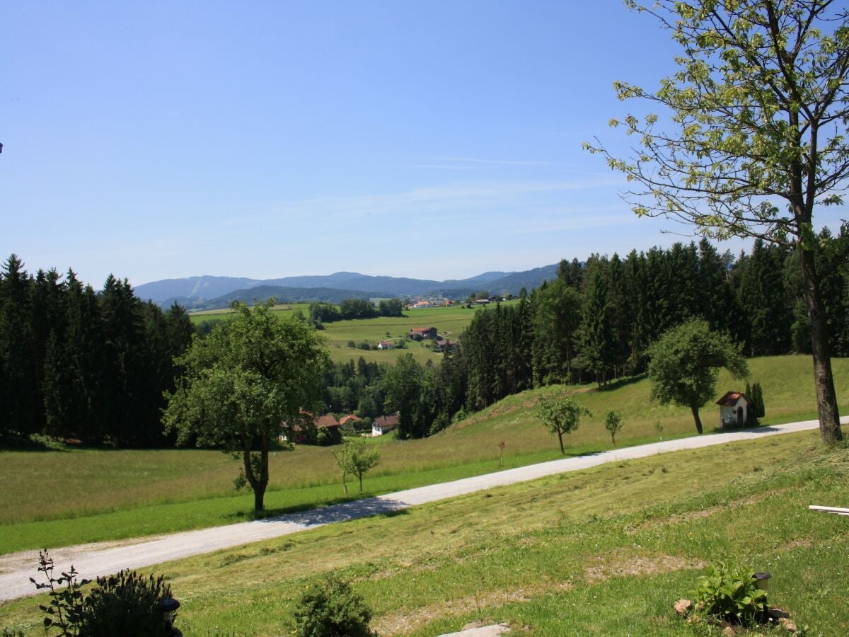 Ferienhaus Viechtach Außenaufnahme 1