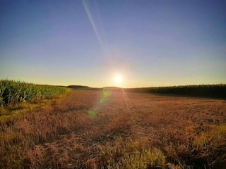 Appartamento Ruhmannsfelden Ambiente 33