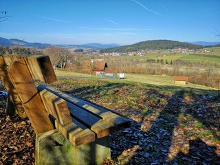 Apartamento Ruhmannsfelden Entorno 26