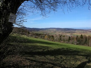 Apartment Ruhmannsfelden Umgebung 22