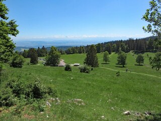 Appartamento Ruhmannsfelden Ambiente 35