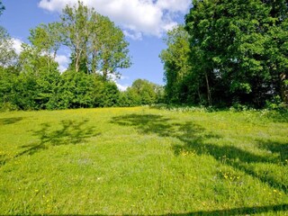 Appartamento Ruhmannsfelden Ambiente 37