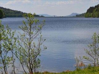 Appartement Ruhmannsfelden Omgeving 36