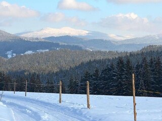 Appartement Ruhmannsfelden Environnement 30