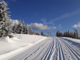 Appartement Ruhmannsfelden Omgeving 26