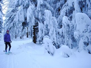 Appartement Ruhmannsfelden Environnement 31