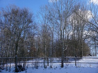 Appartamento Ruhmannsfelden Ambiente 22