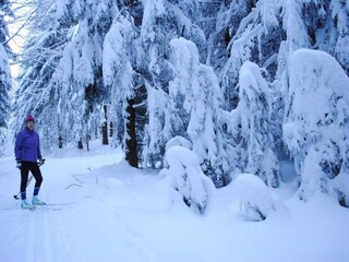 Apartamento Ruhmannsfelden Entorno 27