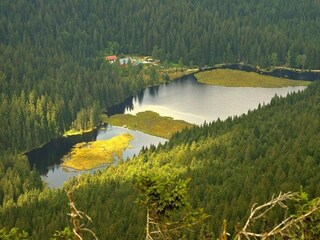 Apartamento Ruhmannsfelden Entorno 18