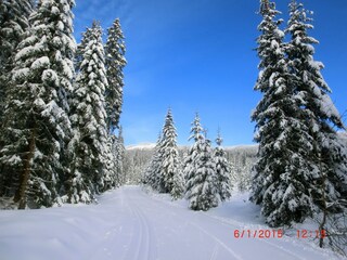 Appartement Bayerisch Eisenstein Environnement 28