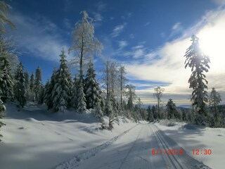 Apartment Bayerisch Eisenstein Umgebung 31
