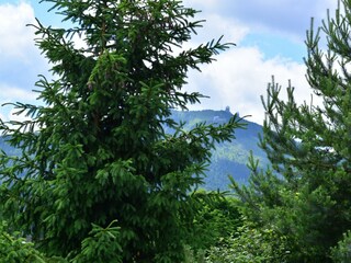 Appartamento Bayerisch Eisenstein Ambiente 32