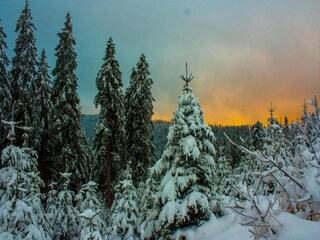 Apartment Bayerisch Eisenstein Umgebung 36