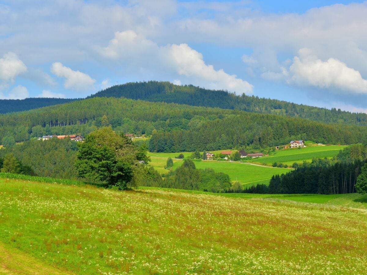 Ferienhaus Drachselsried Außenaufnahme 1