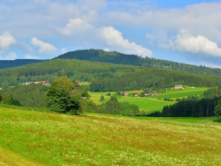 Ferienhaus Drachselsried Außenaufnahme 3