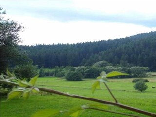 Ferienhaus Drachselsried Umgebung 37