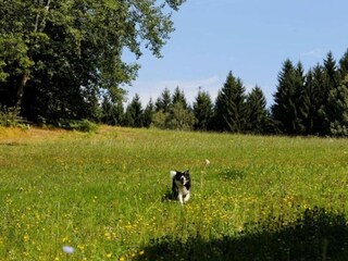 Vakantiehuis Drachselsried Omgeving 30
