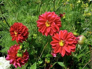 Maison de vacances Drachselsried  30