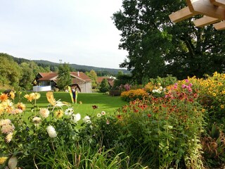 Casa per le vacanze Drachselsried Registrazione all'aperto 5