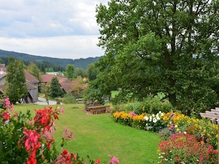 Ferienhaus Drachselsried Außenaufnahme 11