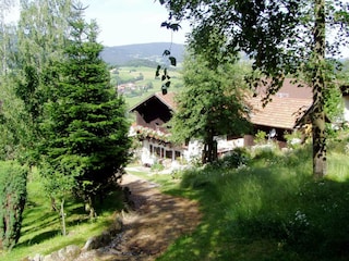 Ferienhaus Patersdorf Außenaufnahme 7