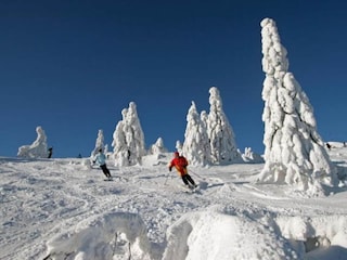 Ferienhaus Patersdorf Umgebung 27