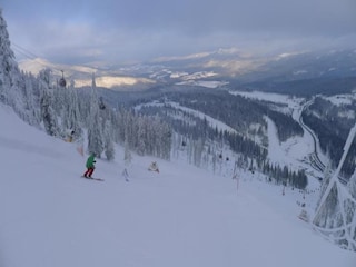 Ferienhaus Patersdorf Umgebung 32