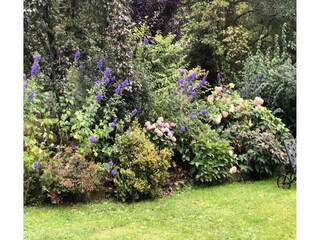 Holiday house Patersdorf Outdoor Recording 5