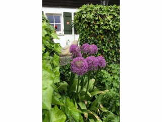 Holiday house Patersdorf Outdoor Recording 8