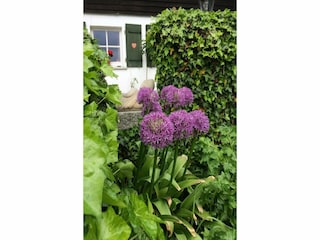 Vakantiehuis Patersdorf Buitenaudio-opname 8