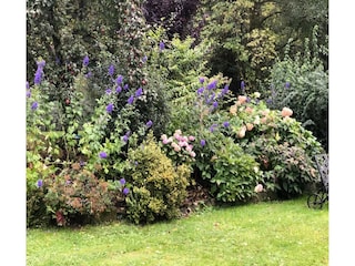 Holiday house Patersdorf Outdoor Recording 10