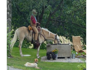 Vakantiehuis Patersdorf Buitenaudio-opname 12