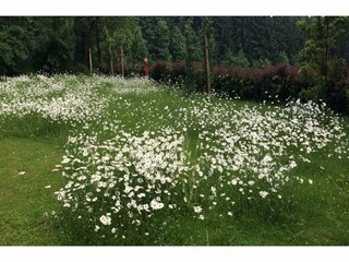 Ferienhaus Patersdorf Außenaufnahme 13