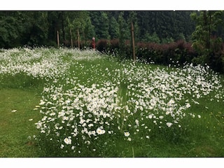 Vakantiehuis Patersdorf Buitenaudio-opname 13