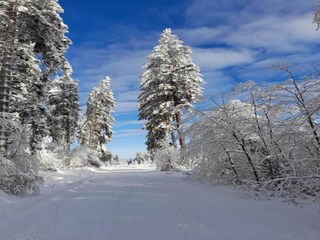 Appartamento Deggendorf Ambiente 37