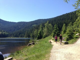 Vakantiehuis Schöfweg Omgeving 33