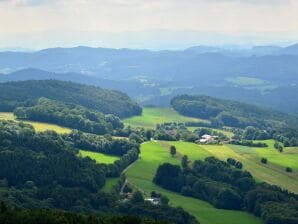 Ferienhaus Ehemaliges Bauernhaus mit Liegewiese - Schöfweg - image1