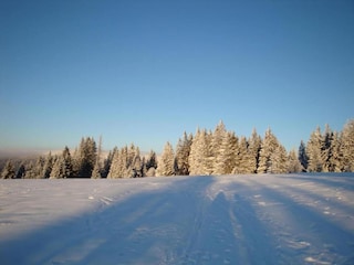 Ferienhaus Plankenfels Umgebung 30