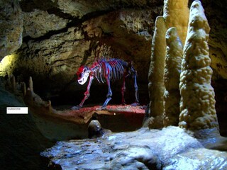 Casa per le vacanze Plankenfels Ambiente 38